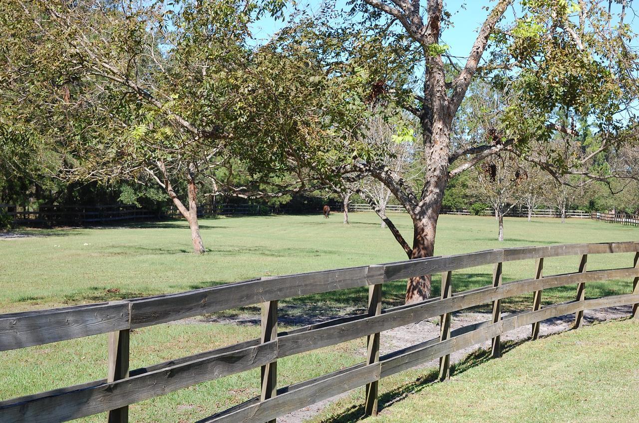 Horse Stamp Inn Waverly 外观 照片